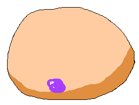 Filled caramel grape shell