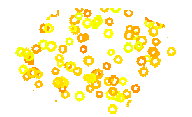 Yellow round shell sprinkles