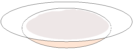 white plate