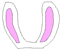 white bunny ears